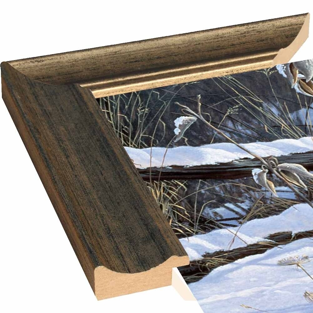 Fenceline Strut -WILGOE1132 Framed Print 24"x43.25" by Wilhelm Goebel