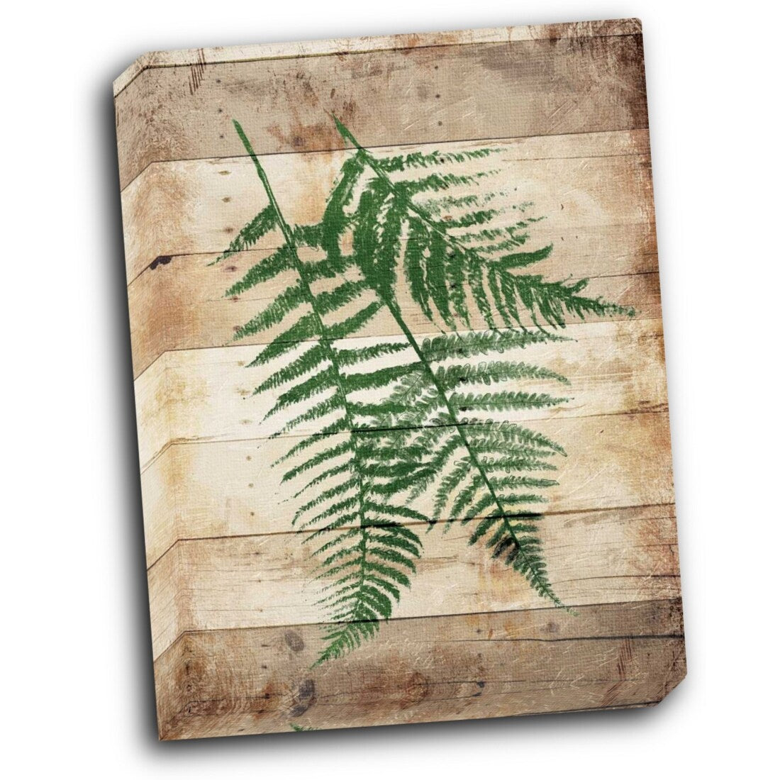Ferns On Wood Mate 16x20 Gallery Wrapped Stretched Canvas