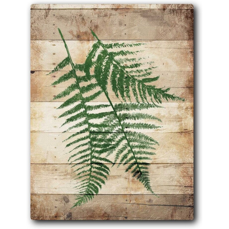 Ferns On Wood Mate 16x20 Gallery Wrapped Stretched Canvas