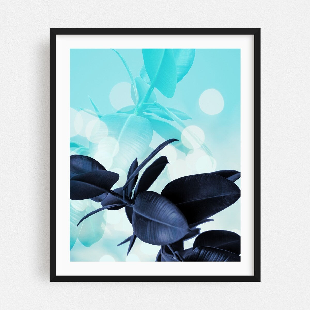 Ficus Light Blue Collage Botanical Botany Flower Art Print/Poster