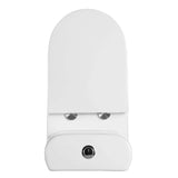 Fine Fixtures Dual-Flush Elongated One-Piece Toilet with High Efficiency Flush