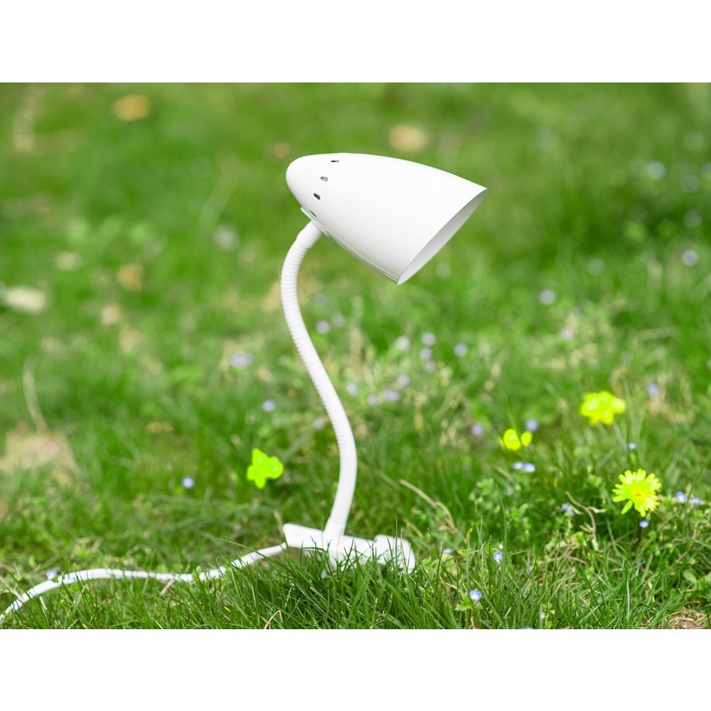 Flamp Bullet Style LED Eye Table Reading Lamp