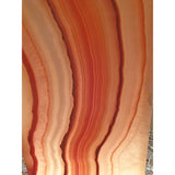 Flamp Lamp