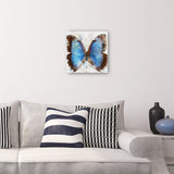 Flights of Fancy III By Studio Arts Canvas Art Print