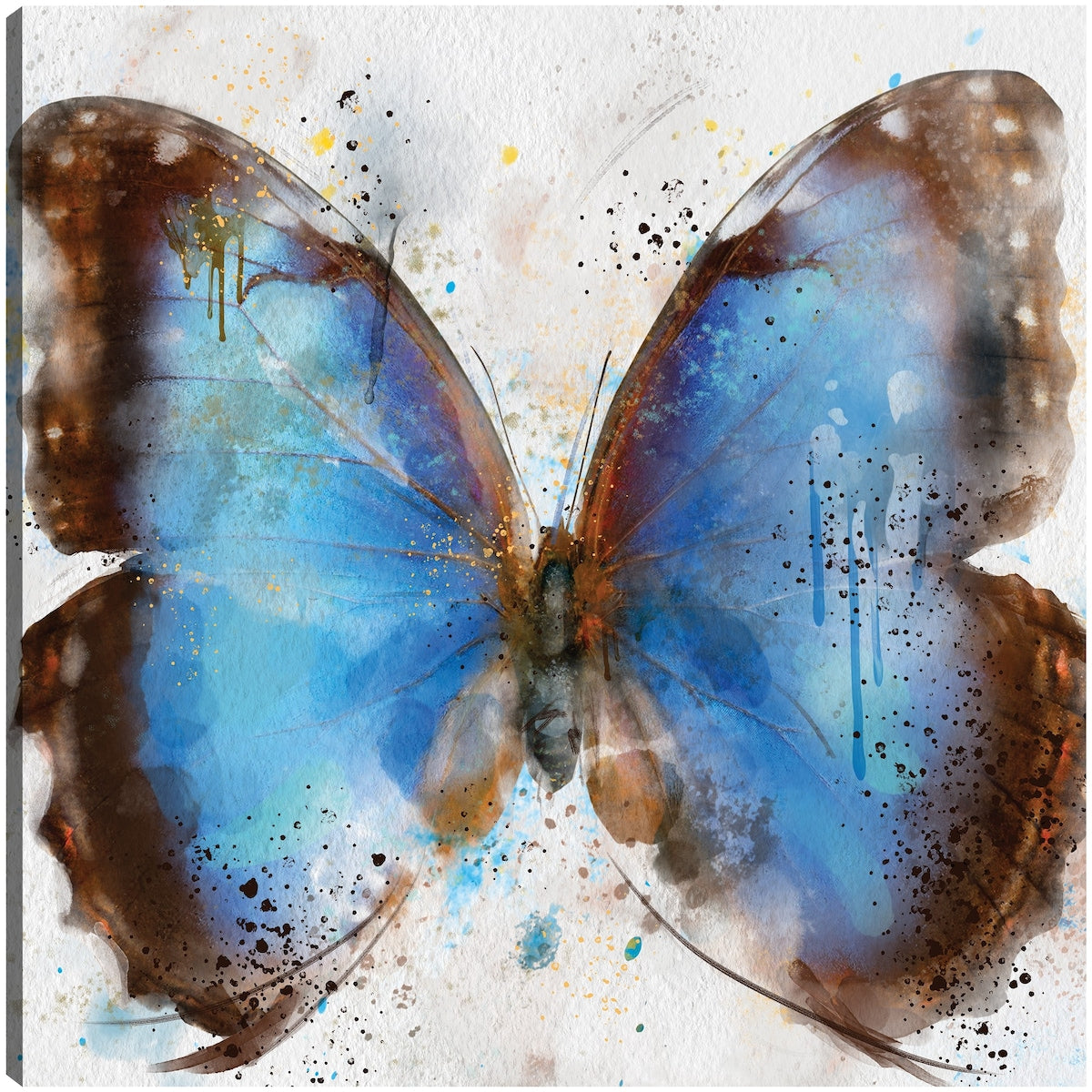 Flights of Fancy III By Studio Arts Canvas Art Print