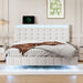 Floating Bed Frame with LED Lights and USB Charging