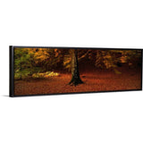 "Autumn Leaves Perthshire Scotland " Black Float Frame Canvas Art