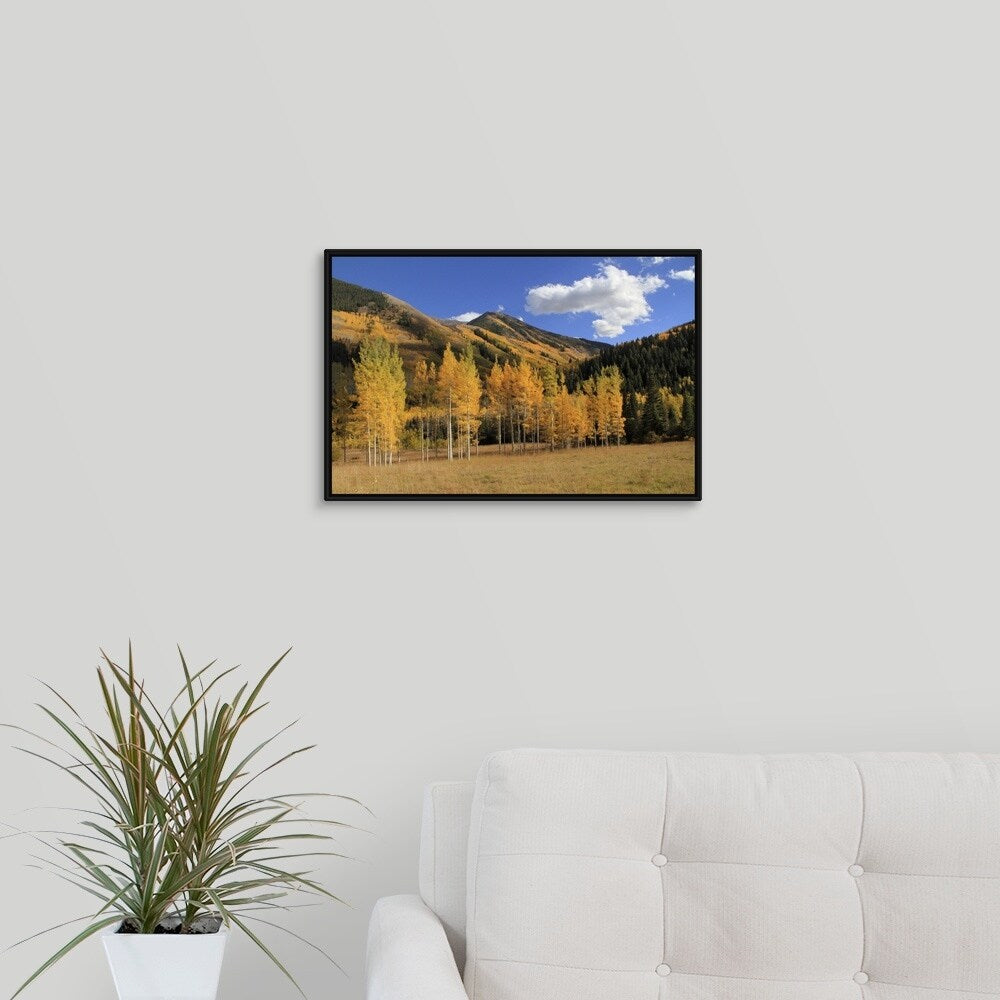 "Autumn aspen trees in the Maroon Bells valley, Elk Mountains, Colorado, USA" Black Float Frame Canvas Art