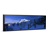"Mt Shuksan Mt Baker Snoqualmie Forest WA" Black Float Frame Canvas Art