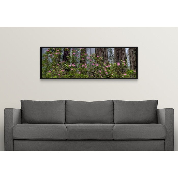 "Rhododendron flowers in a forest, Redwood National Park, California" Black Float Frame Canvas Art