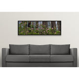 "Rhododendron flowers in a forest, Redwood National Park, California" Black Float Frame Canvas Art