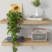 Floating Shelves, 8 Inch Deep Modern Solid Wood Wall Shelves