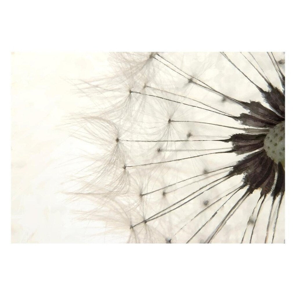 Floral Botanical Non-pasted Wallpaper Wall Mural - White Dandelion