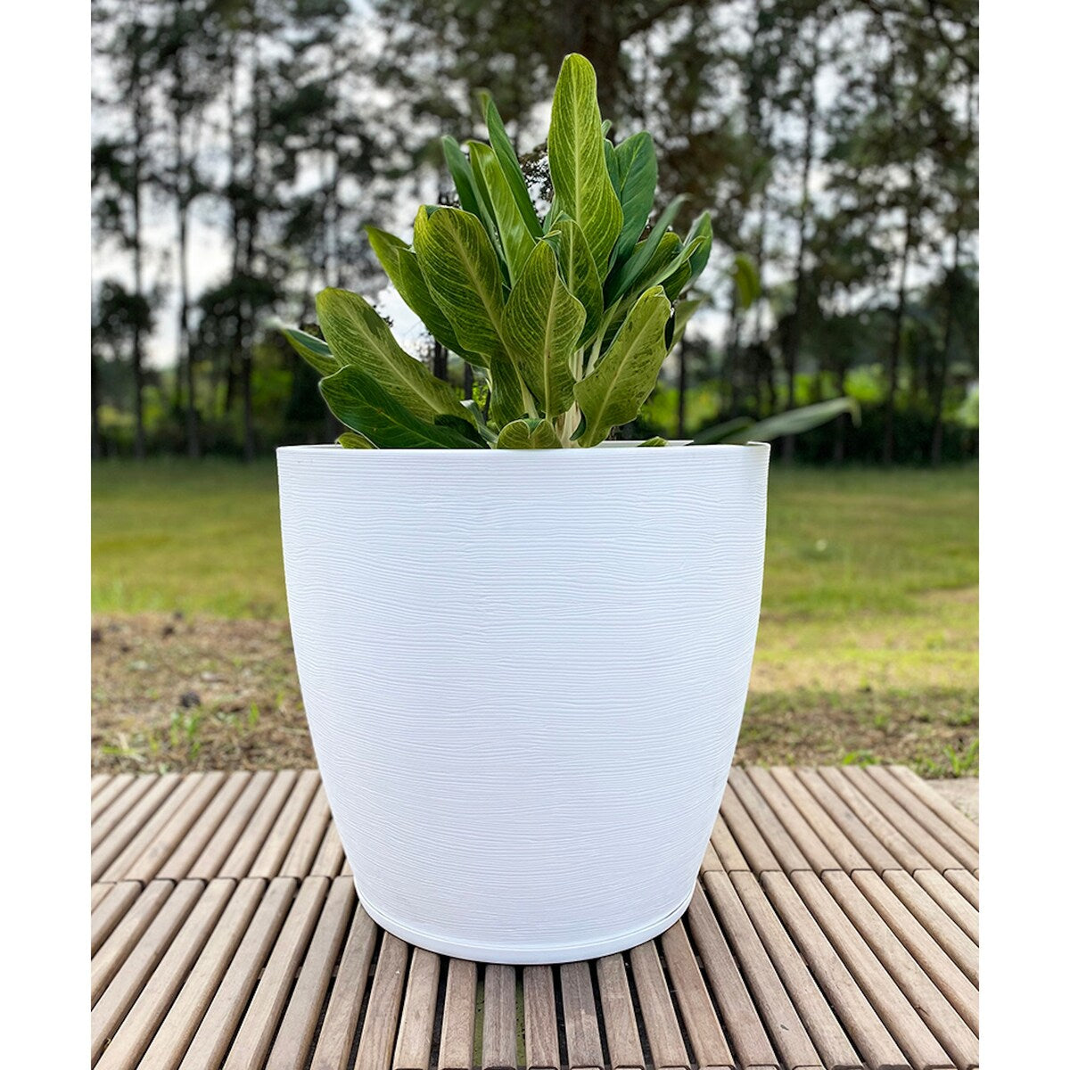 Floridis Amsterdan XX-Large Planter Bowl - 27.56 inches high x 29.53 inch diameter