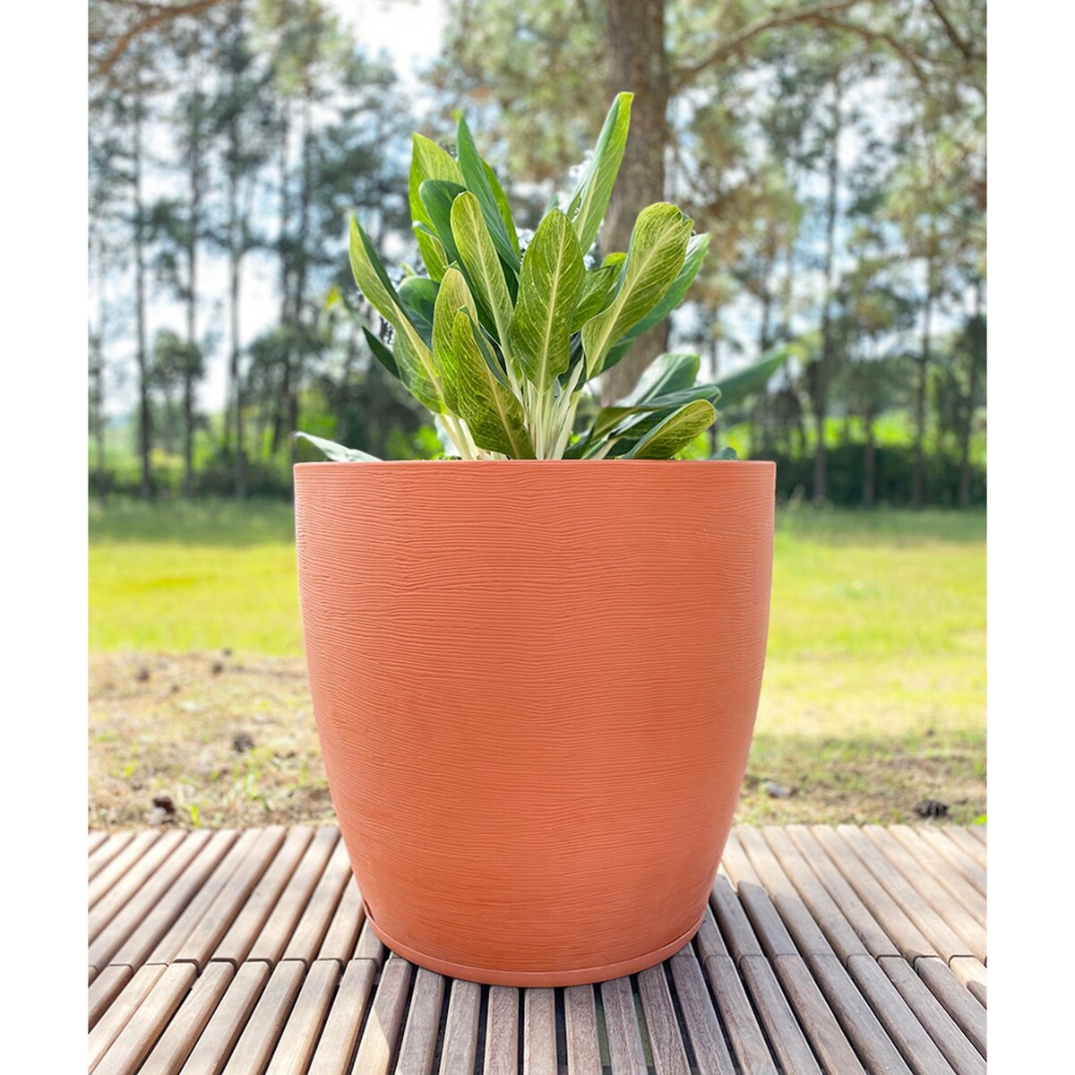 Floridis Amsterdan XX-Large Planter Bowl - 27.56 inches high x 29.53 inch diameter