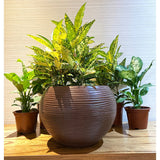 Floridis Florence Planter