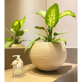 Floridis Florence Planter