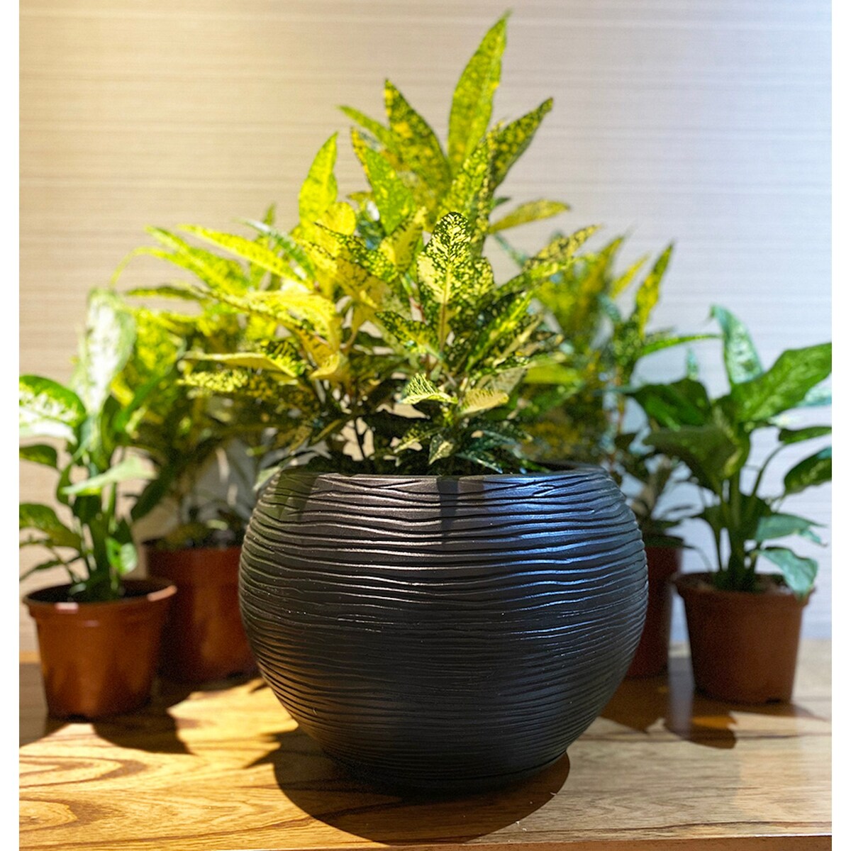 Floridis Florence Planter