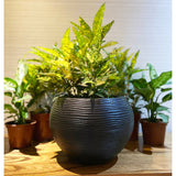 Floridis Florence Planter