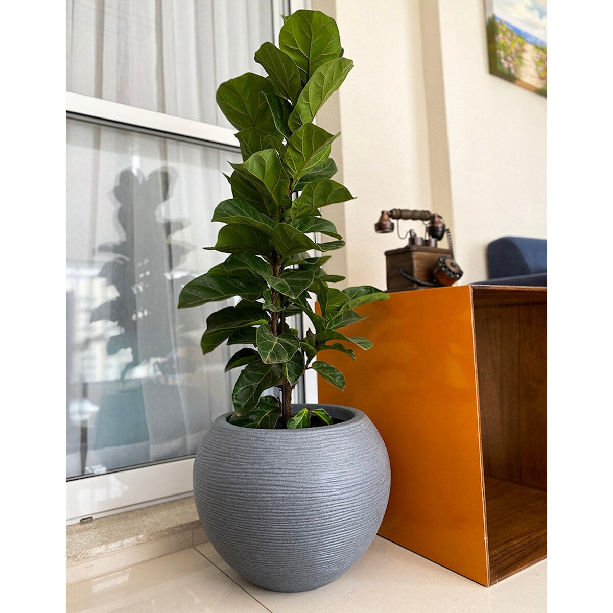 Floridis Florence Planter