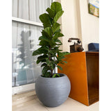 Floridis Florence Planter