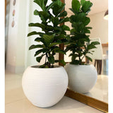 Floridis Florence Planter
