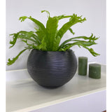Floridis Florence Planter