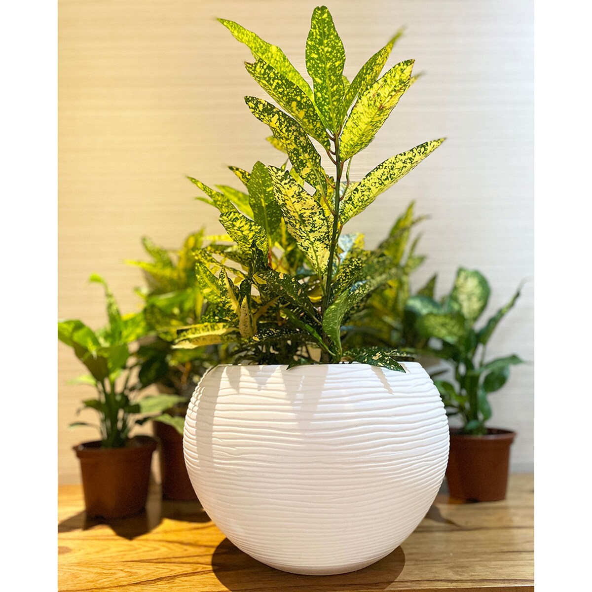 Floridis Florence Planter