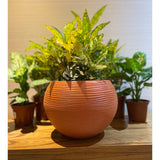 Floridis Florence Planter