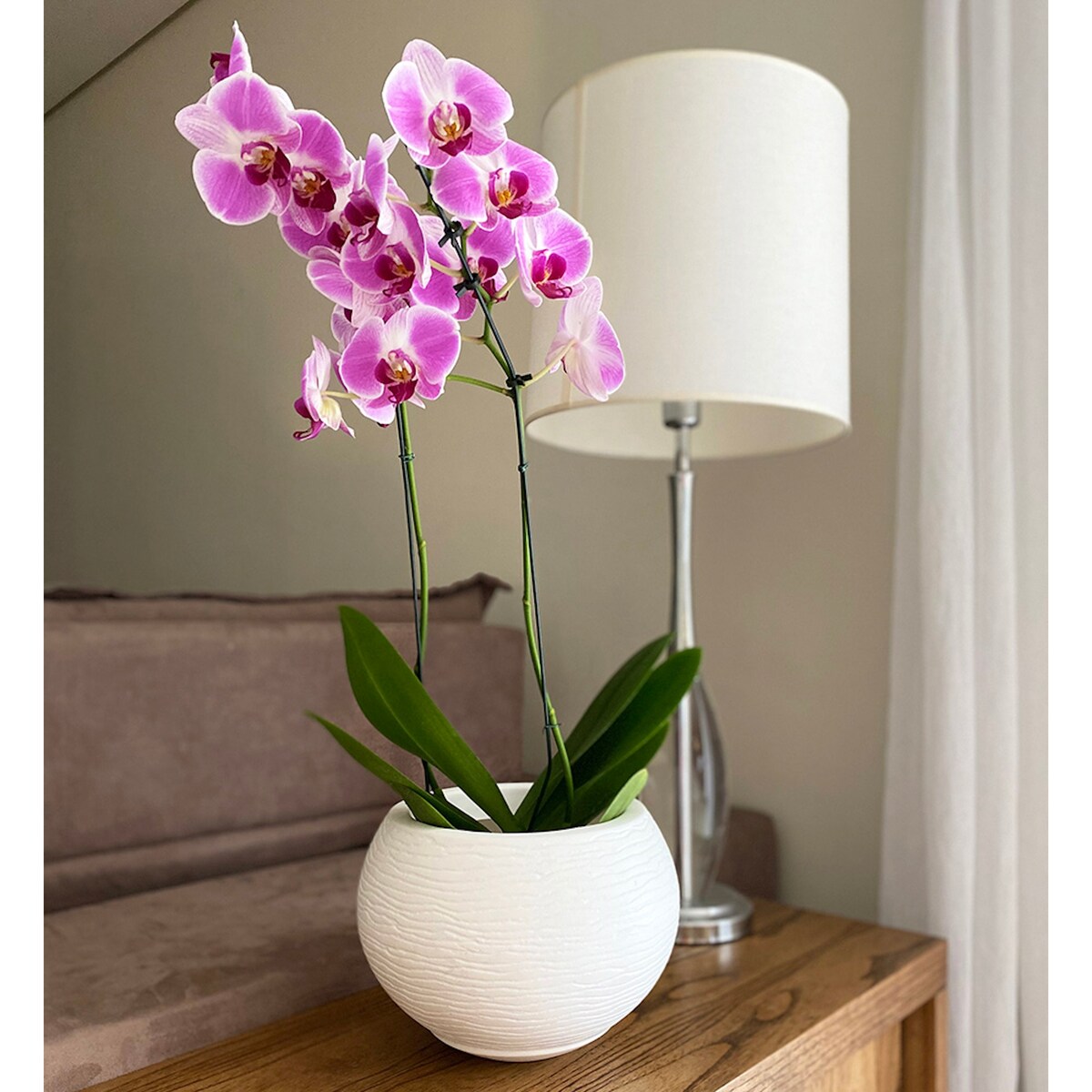 Floridis Florence Planter