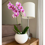 Floridis Florence Planter