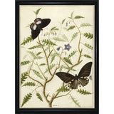 Flowers Twenty-VINAPP130728 Framed Print 20"x14.5" by Vintage Apple Collection