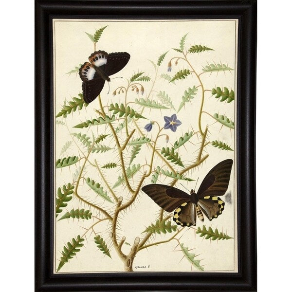 Flowers Twenty-VINAPP130728 Framed Print 20"x14.5" by Vintage Apple Collection