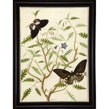 Flowers Twenty-VINAPP130728 Framed Print 20"x14.5" by Vintage Apple Collection