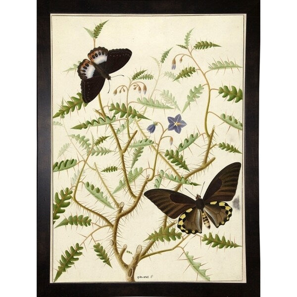 Flowers Twenty-VINAPP130728 Framed Print 20"x14.5" by Vintage Apple Collection
