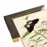Flowers Twenty-VINAPP130728 Framed Print 20"x14.5" by Vintage Apple Collection