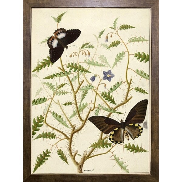 Flowers Twenty-VINAPP130728 Framed Print 20"x14.5" by Vintage Apple Collection