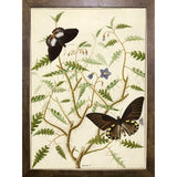 Flowers Twenty-VINAPP130728 Framed Print 20"x14.5" by Vintage Apple Collection