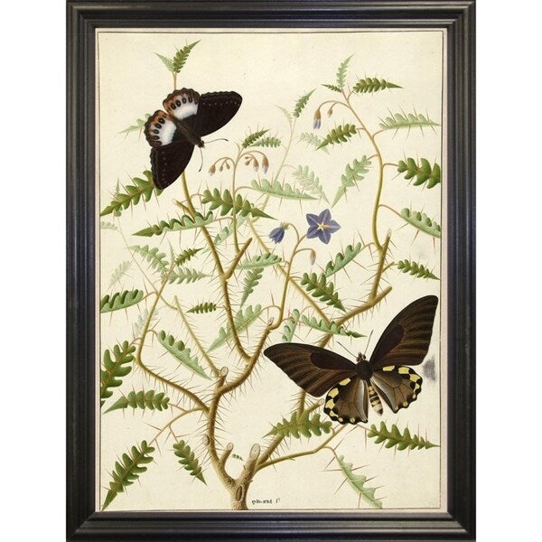 Flowers Twenty-VINAPP130728 Framed Print 20"x14.5" by Vintage Apple Collection