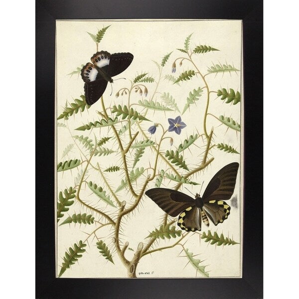 Flowers Twenty-VINAPP130728 Framed Print 20"x14.5" by Vintage Apple Collection