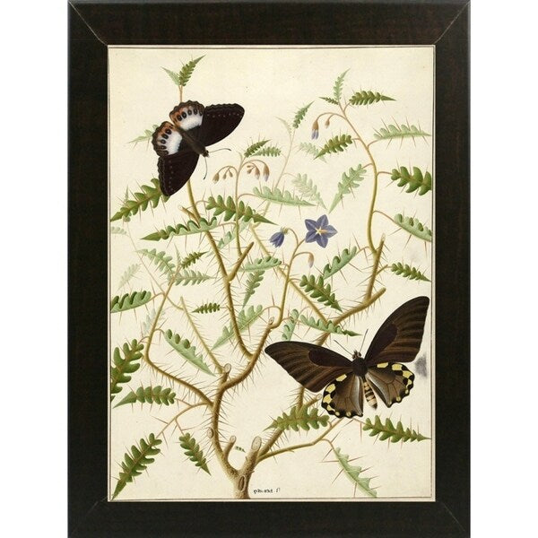Flowers Twenty-VINAPP130728 Framed Print 20"x14.5" by Vintage Apple Collection