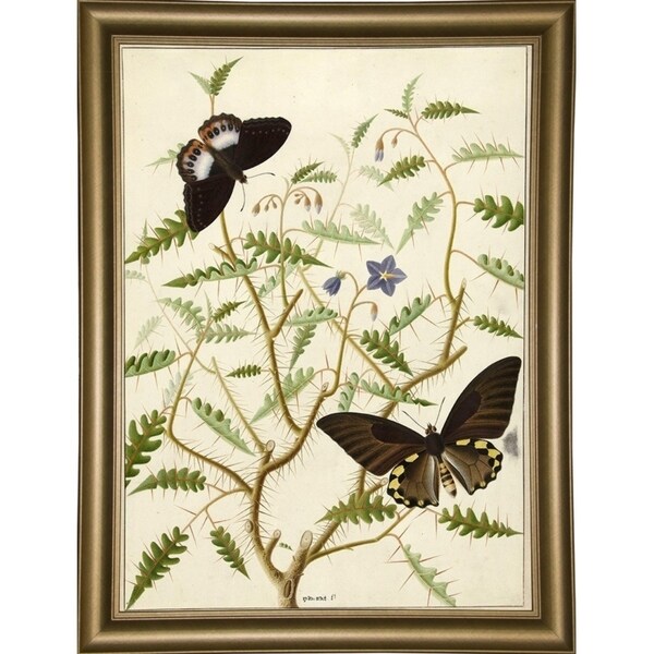 Flowers Twenty-VINAPP130728 Framed Print 20"x14.5" by Vintage Apple Collection