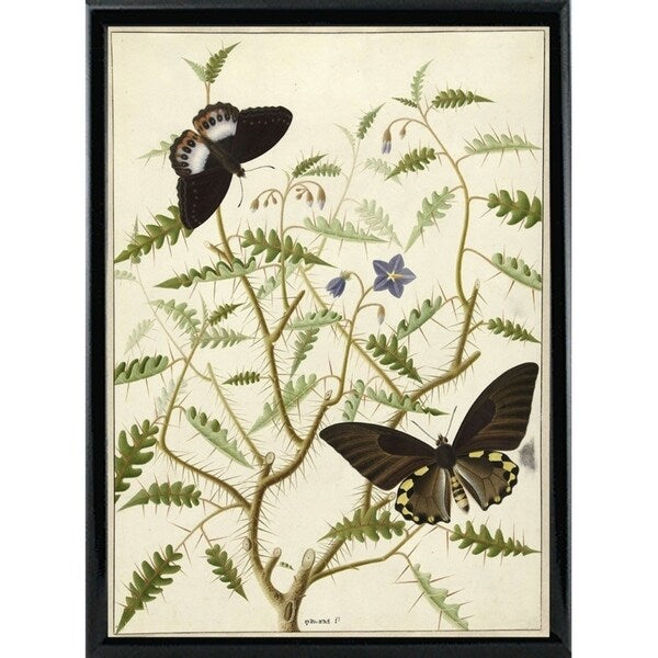 Flowers Twenty-VINAPP130728 Framed Print 20"x14.5" by Vintage Apple Collection