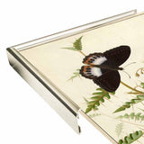 Flowers Twenty-VINAPP130728 Framed Print 20"x14.5" by Vintage Apple Collection