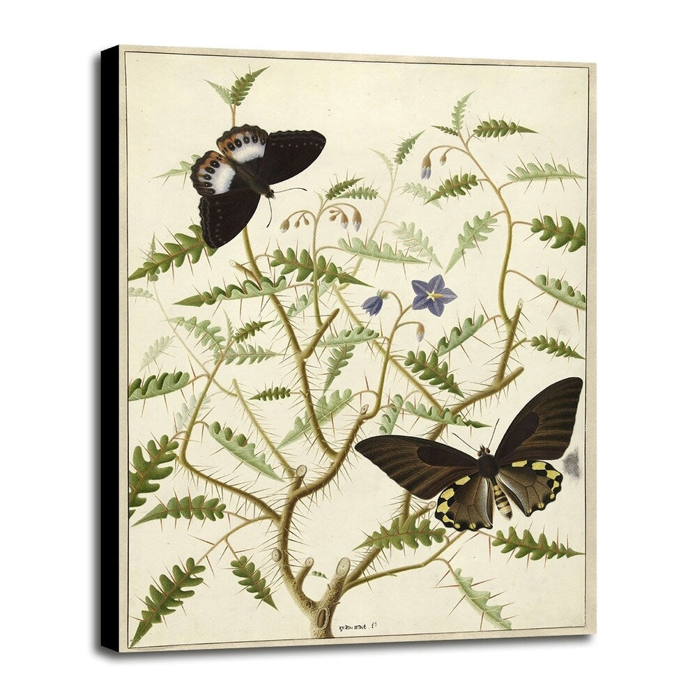 Flowers Twenty-VINAPP130728 Framed Print 20"x14.5" by Vintage Apple Collection