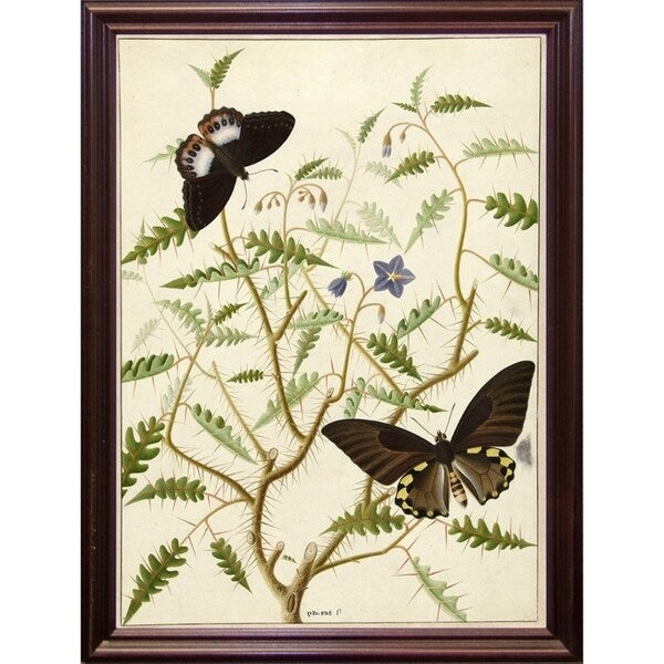 Flowers Twenty-VINAPP130728 Framed Print 20"x14.5" by Vintage Apple Collection