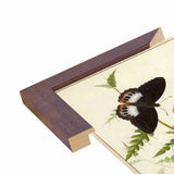 Flowers Twenty-VINAPP130728 Framed Print 20"x14.5" by Vintage Apple Collection