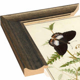 Flowers Twenty-VINAPP130728 Framed Print 20"x14.5" by Vintage Apple Collection