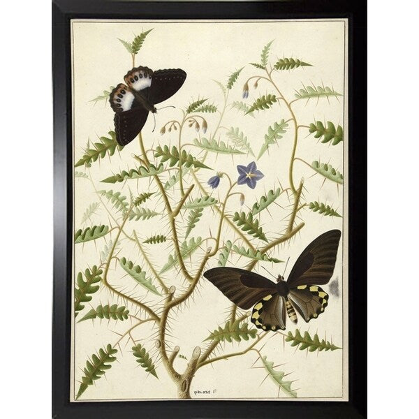 Flowers Twenty-VINAPP130728 Framed Print 20"x14.5" by Vintage Apple Collection