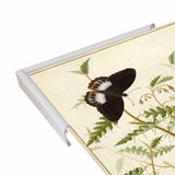 Flowers Twenty-VINAPP130728 Framed Print 20"x14.5" by Vintage Apple Collection